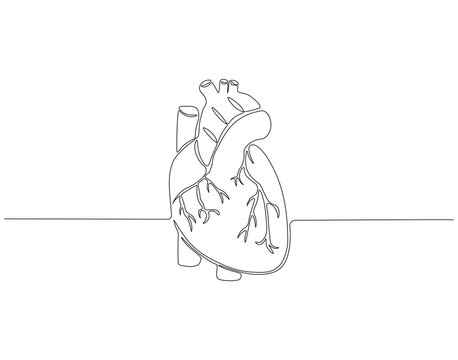 recommend clip art: Continuous one line drawing of human heart. One line drawing illustration of heart. Human organ, World heart day concept line art. Editable outline.