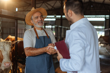 Old farmer thanking a veterinarian for a job well done