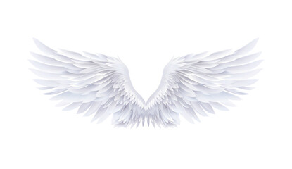 Obraz premium White angel wings png on transparent background. A pair of majestic feathered wings in a front view, bird or angel.