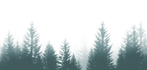 A silhouette of pine trees against png on transparent background, a forest landscape in a dark green and black color palette