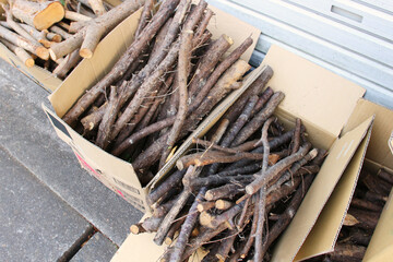 切った木の枝を段ボールに入れた写真