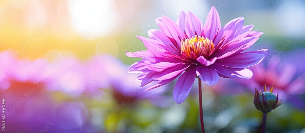 Aufkleber vibrant flower with a blurred background offers copy space image.