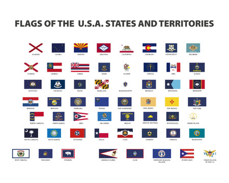 all of the USA state flags on white background