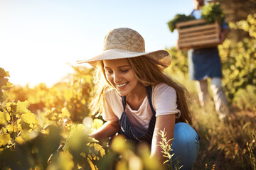 Sustainability, farm and couple with vegetables, natural produce and organic food in green field. Agriculture, agribusiness and people with crate for eco friendly, gardening and crop harvesting