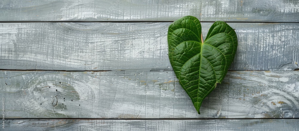 Poster A Syngonium podophyllum leaf is positioned within a frame on a gray wooden backdrop, creating a flat lay background with a copy space image.