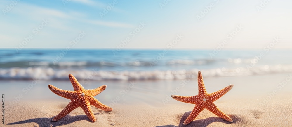 Poster two starfish on a sandy beach background with copy space image.