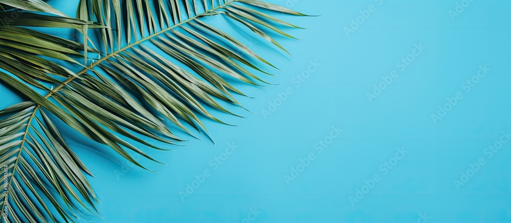 Poster Top view of palm leaves on a blue background, creating a summer-themed composition with a flat lay design providing ample copy space image.