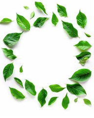 Leaf Ring. Abstract Botanic Banner Border with Green Fresh Leaves on White Background