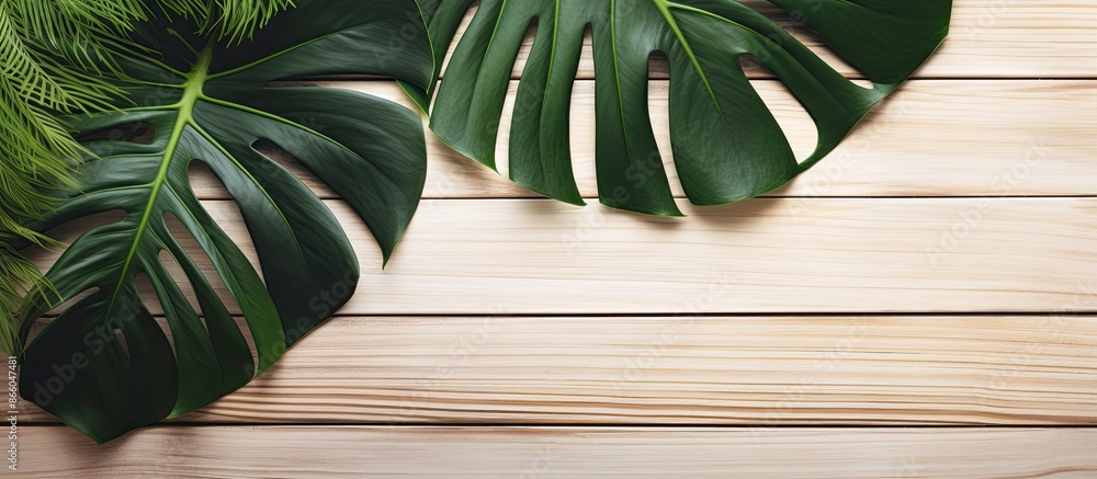 Aufkleber a summer-themed image featuring a green tropical monstera leaf on a white wooden table with a blank 