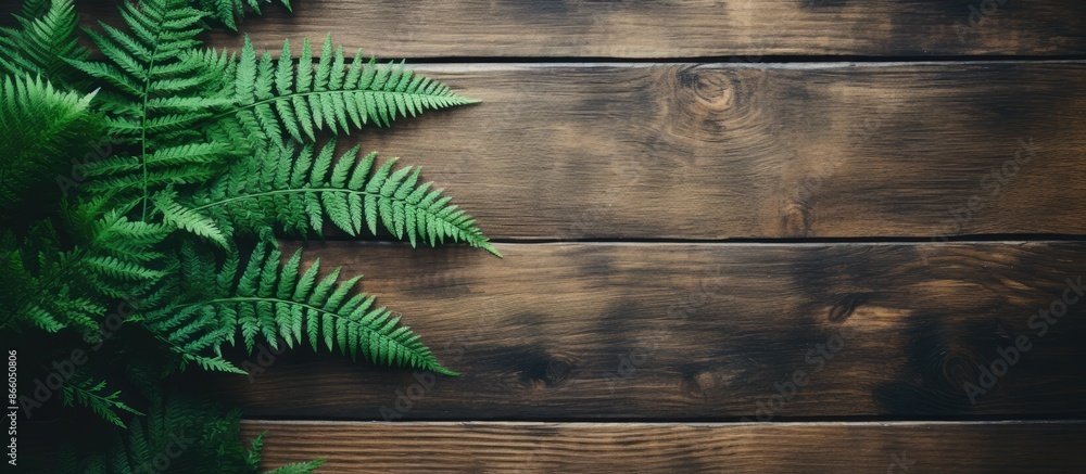 Aufkleber natural background with fern leaves on a rustic table, featuring copy space image.