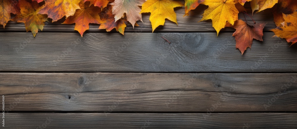 Poster View from top showing fall leaves on a weathered wooden backdrop with space for image insertion. with copy space image. Place for adding text or design