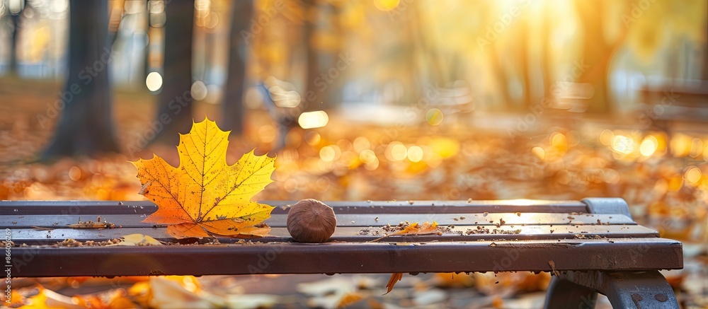 Poster Sunny autumn day with a shiny brown chestnut tree on a yellow maple leaf placed on a bench, creating a picturesque copy space image.