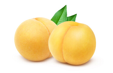 黄金桃のイラスト リアル 白バック