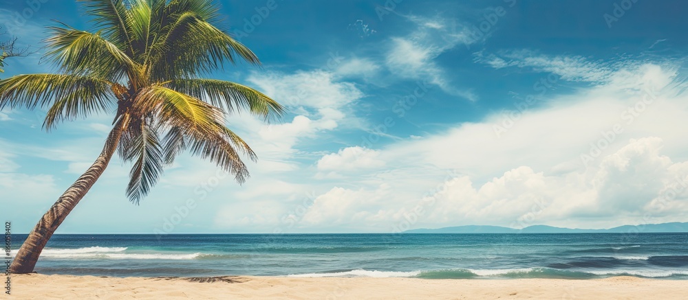 Poster Tropical beach scene with a palm tree under a blue sky and white clouds is a vintage-style image with space for text suggesting the theme of summer holidays and travel. with copy space image