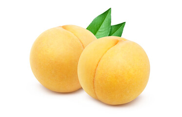 黄金桃のイラスト リアル 白バック