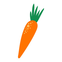 carrots isolated on white background