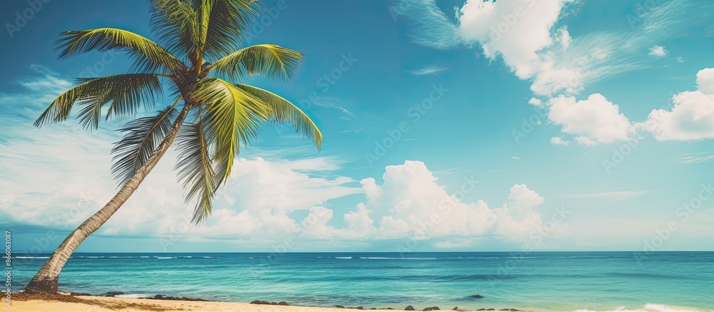 Poster Tropical beach scene with a palm tree under a blue sky and white clouds is a vintage-style image with space for text suggesting the theme of summer holidays and travel. with copy space image