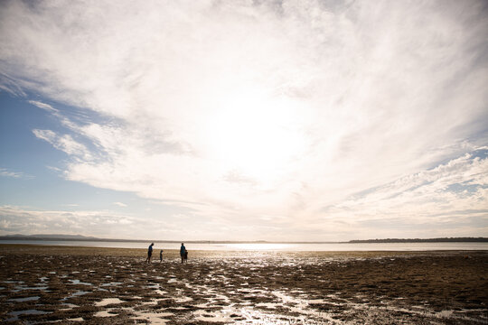 family exploring the intertidal zone of Macleay Island in Moreton bay