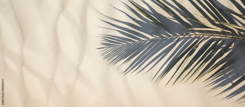Aufkleber Top-down view of a palm leaf shadow banner on sandy surface with space for an image. with copy space image. Place for adding text or design