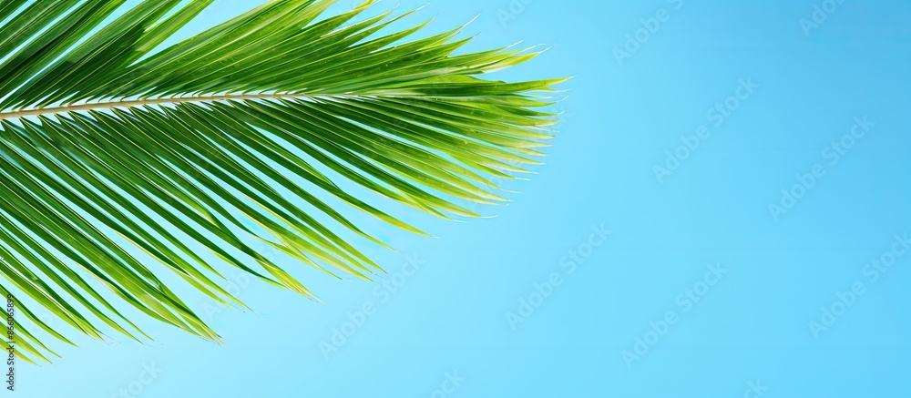 Aufkleber tropical beach vacation concept with a scenic overhead view of a coconut leaf against a blue sky, id