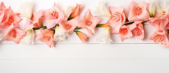 Peach gladiolus border frame on white backdrop for your design or text. Ideal copy space image.