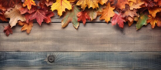 View from top showing fall leaves on a weathered wooden backdrop with space for image insertion. with copy space image. Place for adding text or design
