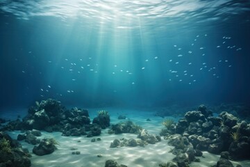 Fototapeta premium Undersea underwater outdoors nature.