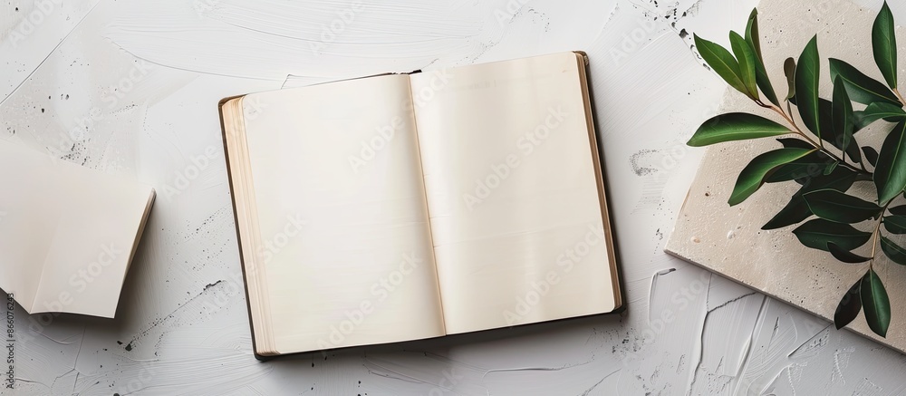 Poster an open book diary featuring empty pages against a white backdrop, ideal as a copy space image.