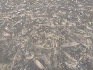 子供たちの遊んだ足跡の残る公園の砂地風景