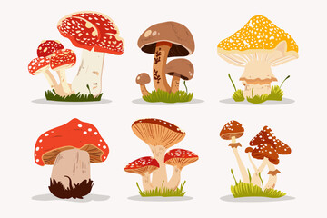 Set with edible and poisonous mushrooms, chanterelles, champignons, porcini mushroom, fly agarics and toadstools, cartoon style. Vector illustration isolated on white, hand drawn, flat design