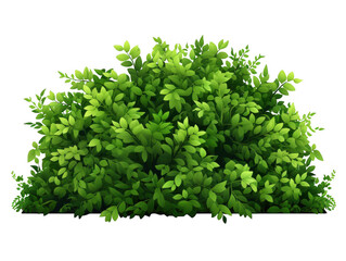 Obraz premium Dense Cluster of Green Shrubs