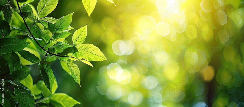Poster Nature's verdant backdrop with ample copy space image.