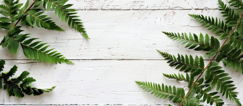 Aufkleber fern displayed against a white wooden backdrop with copy space image.