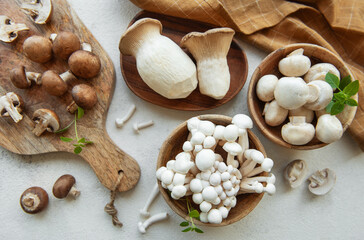 Assortment of various raw mushrooms on gray concrete background.