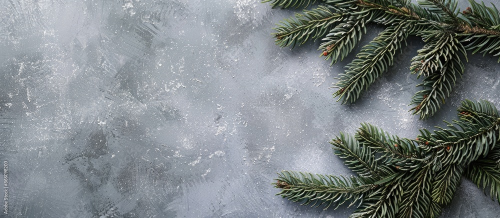 Wall mural Christmas or winter-inspired background featuring a top view layout with a fir tree branch on a gray backdrop, perfect for holiday greetings with available copy space image.