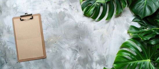 A green aralia plant beside a clipboard with space for text or images. image with copy space