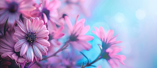 Obraz premium Color-filtered flowers in a stunning copy space image for backgrounds or wallpapers.
