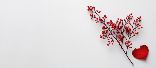 A red heart-shaped plant on a plain white backdrop with space for text, perfect for a valentine or name card with a natural theme. image with copy space