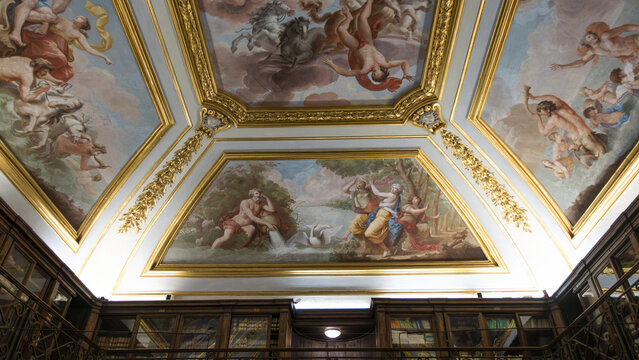 Biblioteca di Palazzo Corsini - Roma, Italia
