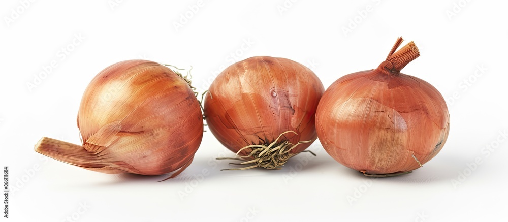 Poster onion bulbs isolated on white background with clipping path for a clean cutout. close-up view with s
