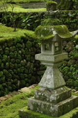 灯篭と苔　日本の風景　日本の和　和風