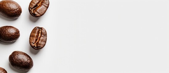 A white background displays three light-roasted coffee beans with copy space on the left for text or image insertion.