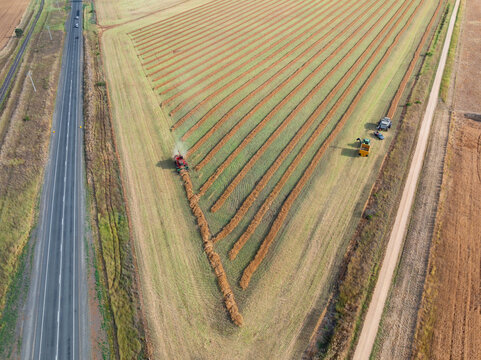 Aerial view of harvester and farm machinery working in a canola field