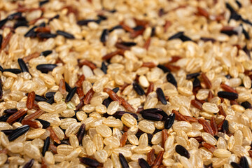 Mix of white, red and black rice, close up