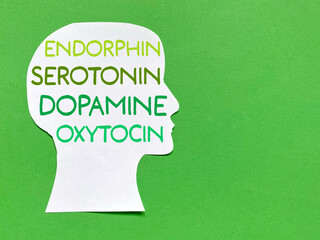 Brain happy chemicals - Endorphin,Serotonin,Dopamine, Oxytocin with copy space background. Mental health concept. Stock photo.