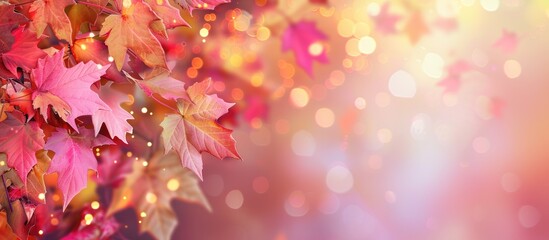 Fototapeta premium Colorful autumn leaves with bokeh lights surrounding a copy space image on a gradient backdrop.