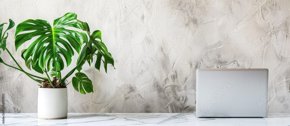 Poster A laptop sits next to a plant in a sleek setting, showcasing a concept for learning and working with a designated area for text or app in the image. copy space available