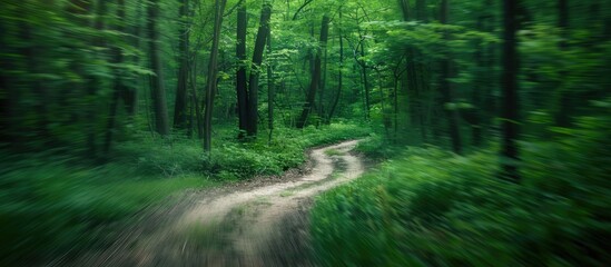 Fototapeta premium Explore the enchanting Moody Woods hiking trail in a photo with blurred areas and room for text or images (Copy Space Image).