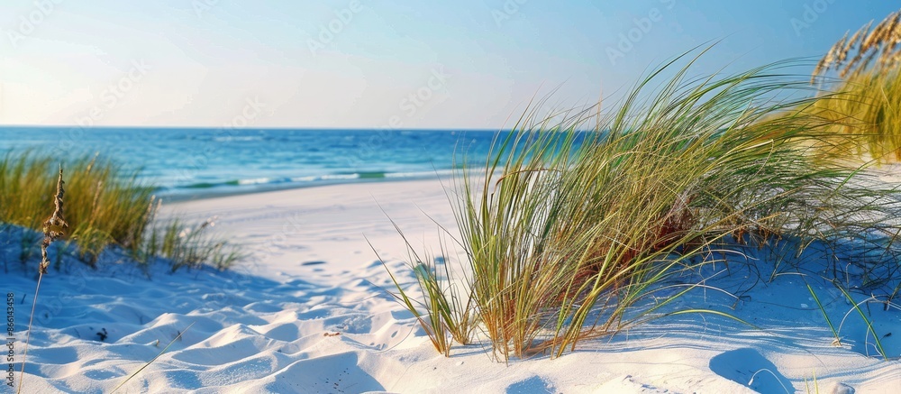 Poster Sandy beach with captivating details in the background, perfect for adding text. Copy space image desired.