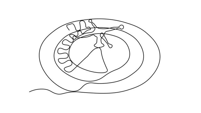 Self drawing animation one continuous line draw, logo, abstract roulette in a casino